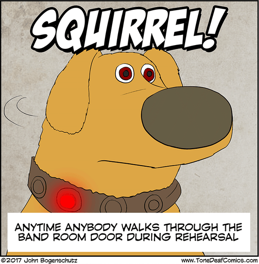 Squirrel